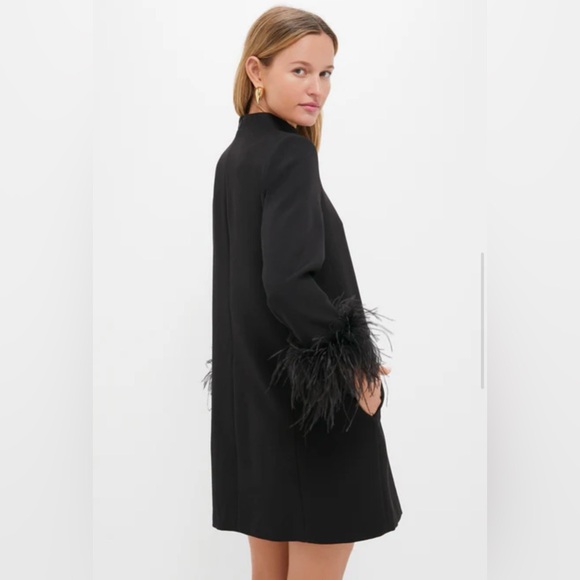 Tuckernuck Black Feather Mod Dress Size M - Picture 7 of 9